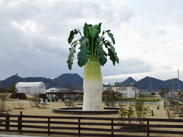 【尾道】：2018年開園HAKKOパーク(万田発酵?)の見学ができる、因島 村上水軍コース
